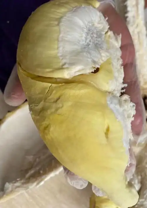 榴莲,果肉饱满,籽薄肉厚