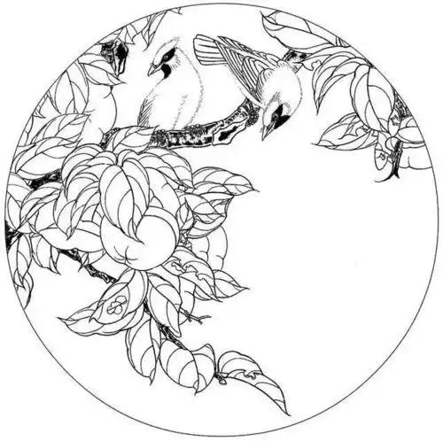 精品花鸟工笔白描