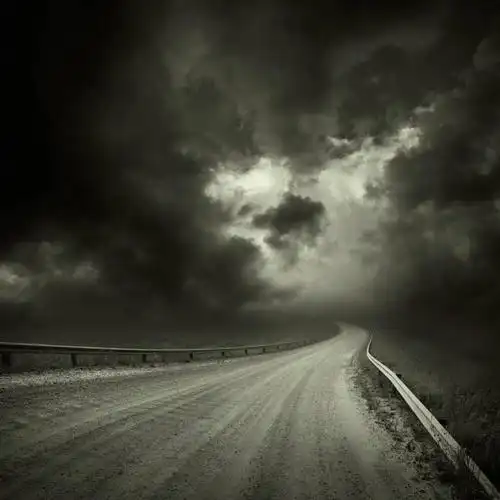 会员登录可下载 1024 无水印图片