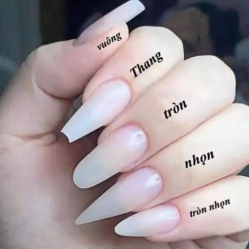 穿戴甲假指甲当季流行新款美甲甲片贴成品热销现货批