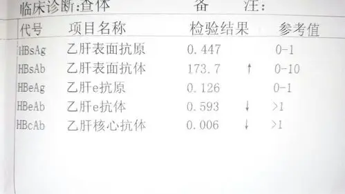 乙肝五项结果如下:乙肝乙肝表面抗体 我两年前查出乙肝大三阳,住院