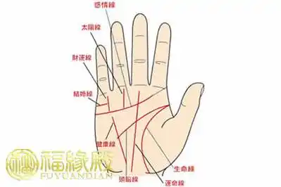 揭晓有福气的女人手相特征