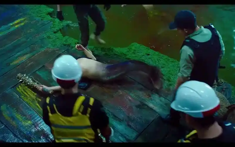 美人鱼:人类为利益捕杀美人鱼,残忍将其杀害,作恶多端必遭反噬