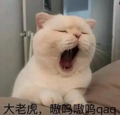 大老虎嗷呜嗷呜qaqqaq老虎表情