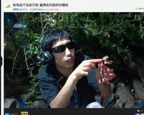 在战旗平台还有一位直播生吃的主播,他叫胜哥,直播简介只有简单亦霸气