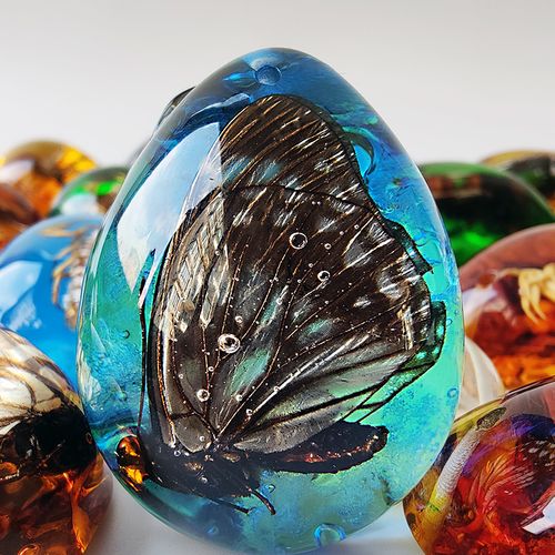 天然昆虫创意饰品人造化石琥珀虫珀蜜蜡吊坠挂件学生教具儿童礼品