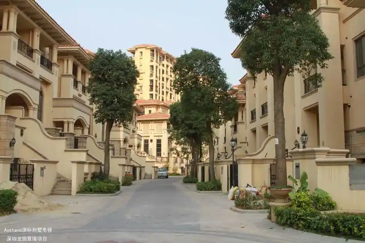 深圳-龙园意境2013