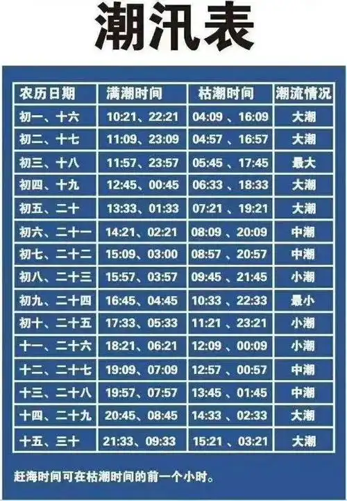 最新发现的赶海好去处!第一个就在瓦房店!