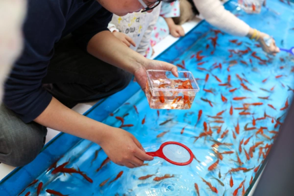 趣味捞金鱼,在繁华都市中芯,就能体验到大自然的乐趣.