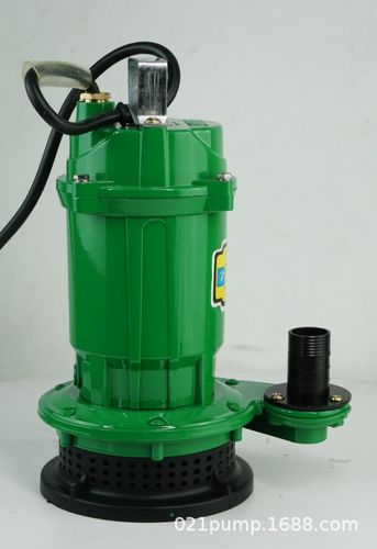 微型迷你抽水泵小型220v180w家用潜水泵高扬程灌溉农用手提式水泵