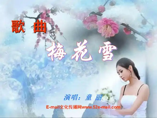 童丽梅花雪ppt