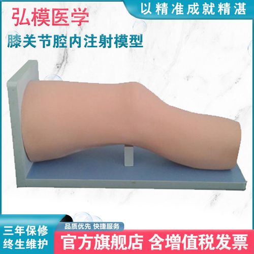 弘模hom/l72膝关节腔内注射模型穿刺触诊模拟滑囊液部位判定穿刺教学