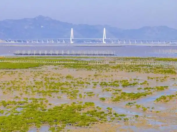 浙江玉环:冬日海山美如画