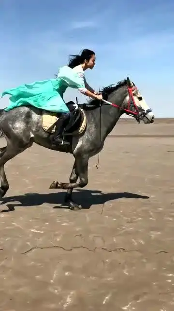 小姐姐骑马飞奔英姿飒爽这感觉太爽了