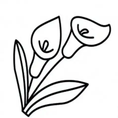 花朵简笔画百度网盘