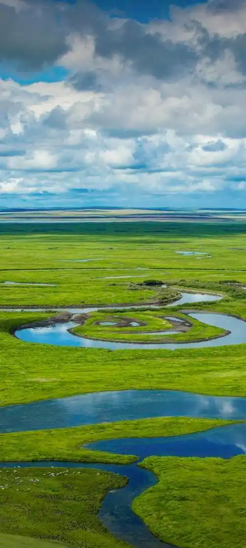 1080_2400竖版 竖屏