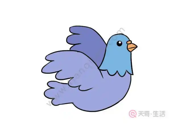 鸽子简笔画
