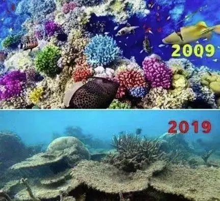 地球的十年对比挑战冰川森林面目全非人类还能撑多久