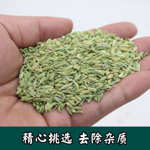 新货甘肃小茴香籽500克g香料调料卤料磨粉茴香辛料颗粒颗粒甘肃小茴香