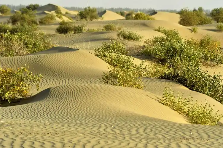 新疆塔克拉玛干大沙漠