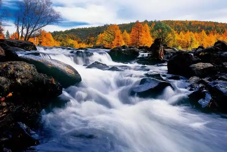 大兴安岭,除了名字你还知道多少?