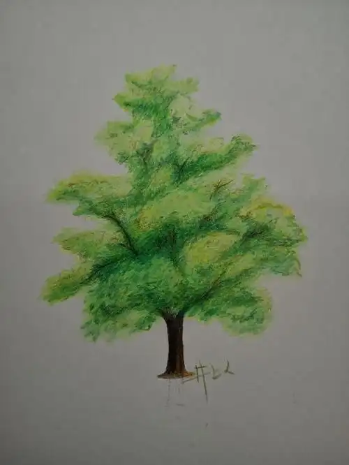 彩铅练习:树