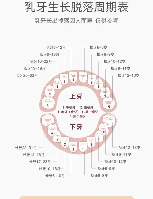 希杰狮王宝宝乳牙收纳盒男女孩胎毛发收藏盒儿童掉换牙保存纪念盒旋转