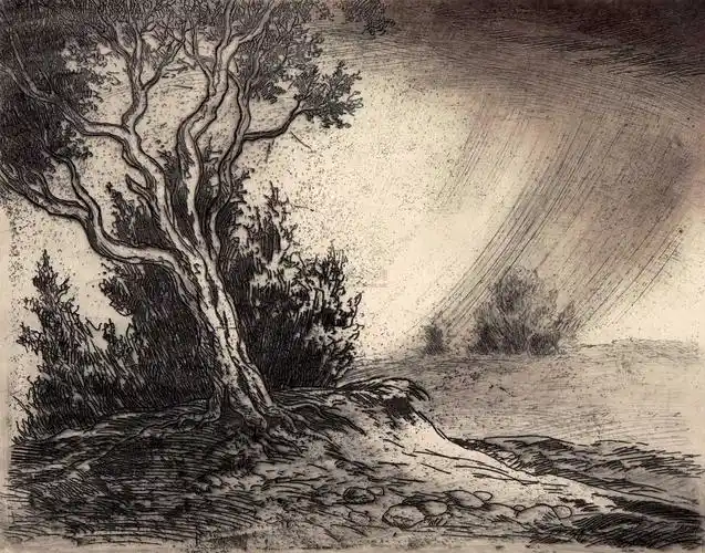 【风景 (俄国) 铜版】拍卖品_图片_价格_鉴赏_版画_雅昌艺术品拍卖网