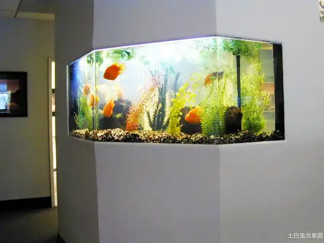 玄关装修壁挂式鱼缸图片