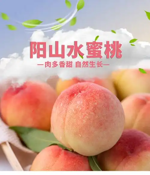 正宗无锡阳山水蜜桃新鲜水果 5-6两共10个大果软桃子礼盒现摘包邮