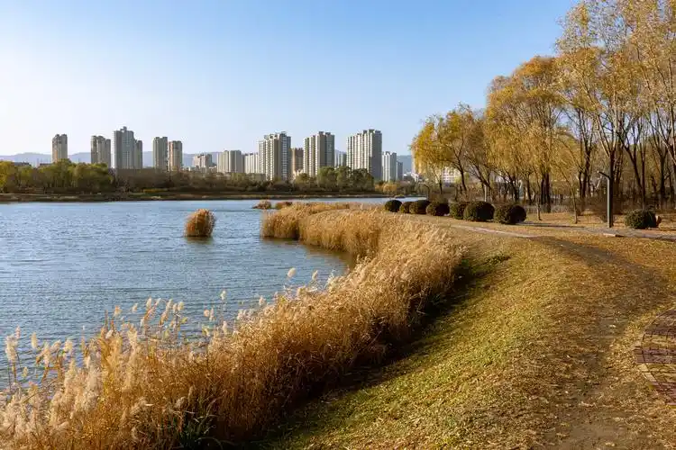 秋意渐浓人寂寥太原汾河湿地公园