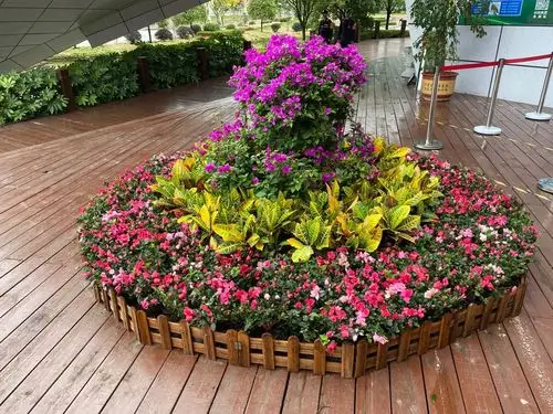 景区游客服务中心门口布置花坛,使景区环境再增色.