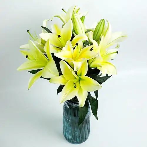 多色香水香水百合百合花云南昆明鲜花基地地直发水鲜花速递同城