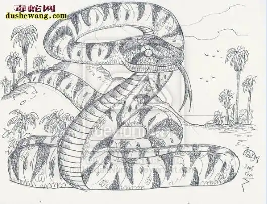 泰坦蟒简笔画泰坦蟒简笔画图片大全