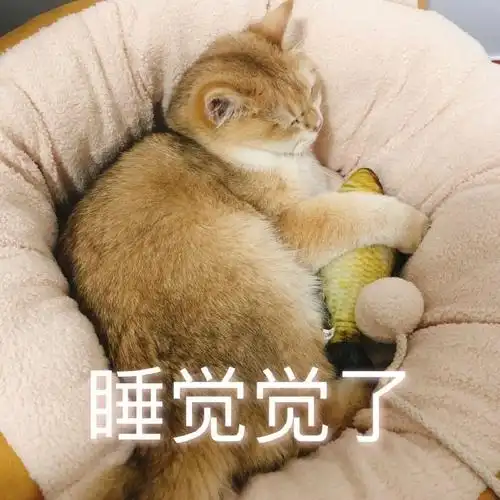 萌宠gif猫星人gif睡觉觉了gif困了gif呆萌gif可爱gif