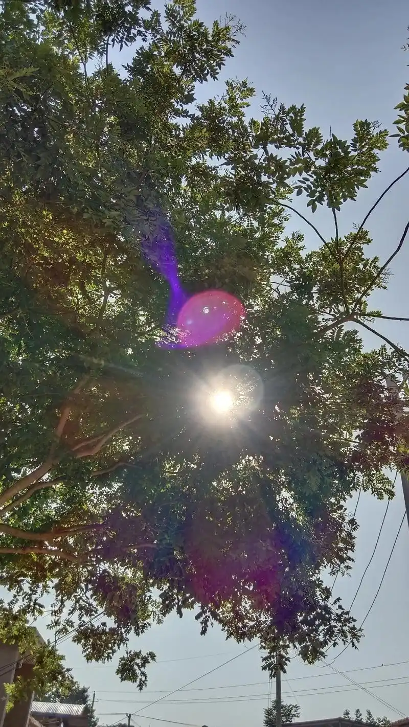 我很喜欢太阳,我把太阳拍的美美的,太阳也很喜欢我,它把我晒的 - 抖音