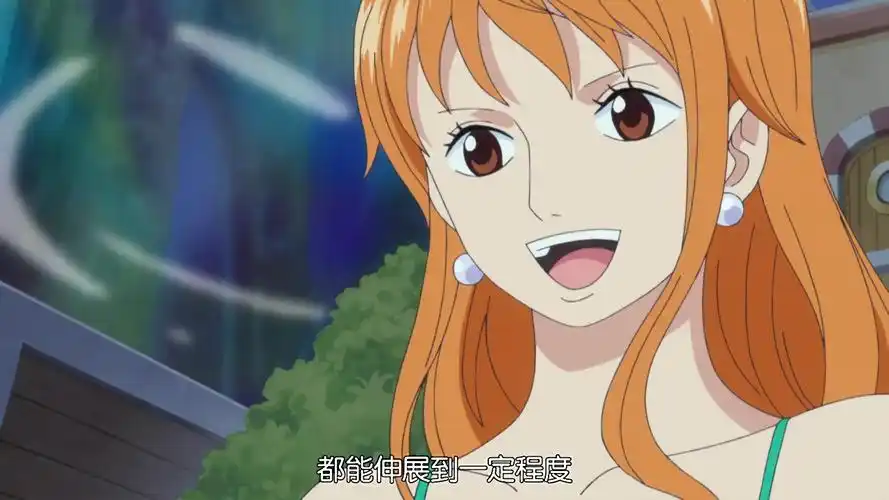 二年后的草帽海贼团路飞娜美山治乔巴索隆罗宾乌索普弗兰奇布鲁克