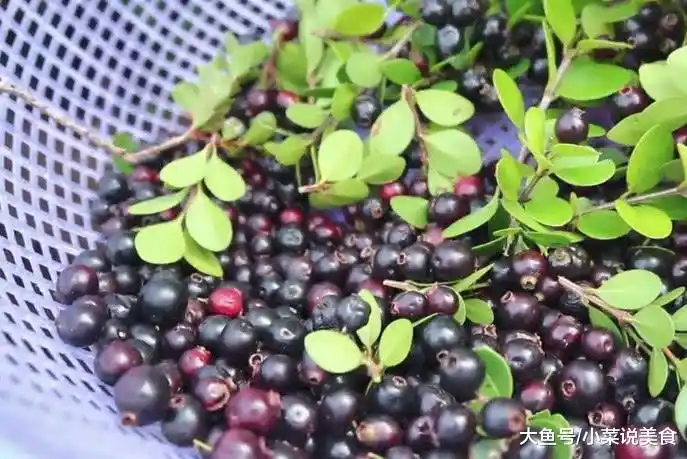 农村有种野果, 是80和90后的回忆, 有好多的00后都没吃过它