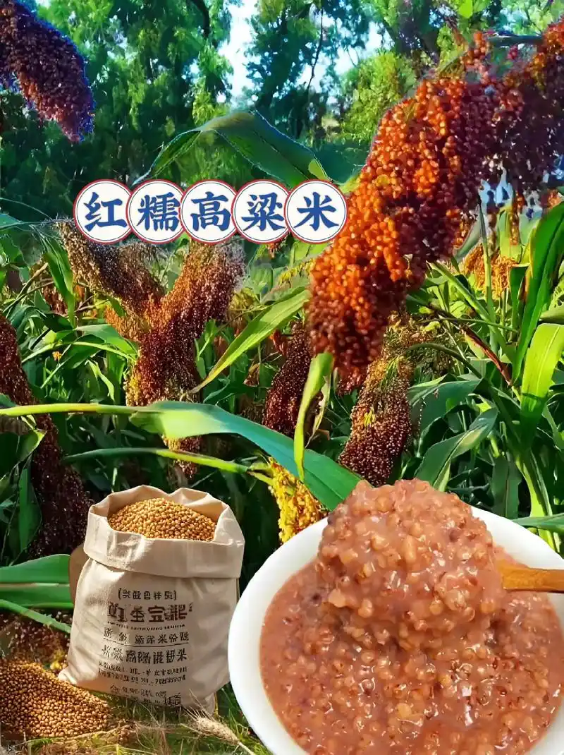 红糯高粱米,色泽暗红,朴实无华.置于餐桌,散发着自然的清香