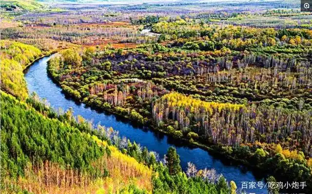 中国最美的七座原始森林,人迹罕至等你来探秘