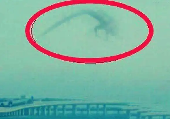 揭秘真的有龙存在吗龙是怎么来的龙有哪些特点