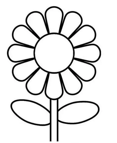 维c视频简笔画花