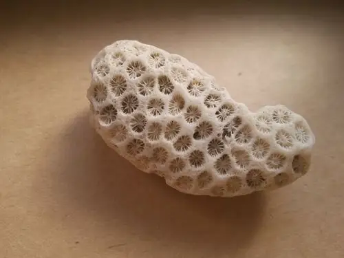 捡到一个非常漂亮的石头,大师能签定下什么材质的么,值钱么