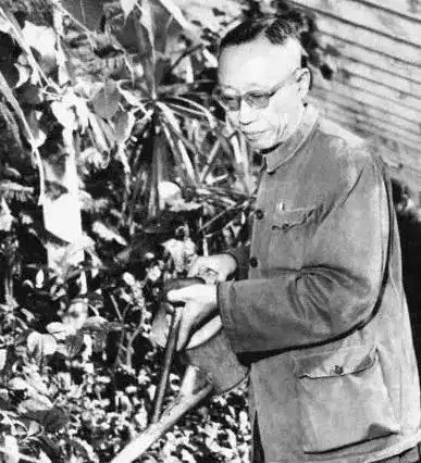 故事:溥仪第一次工作拿到60元工资,他买了什么?果然是当过皇上的人