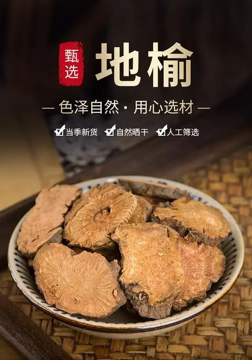 南京同仁堂地榆中药材500克 生地榆片 赤地榆根片 地榆粉新货 另售