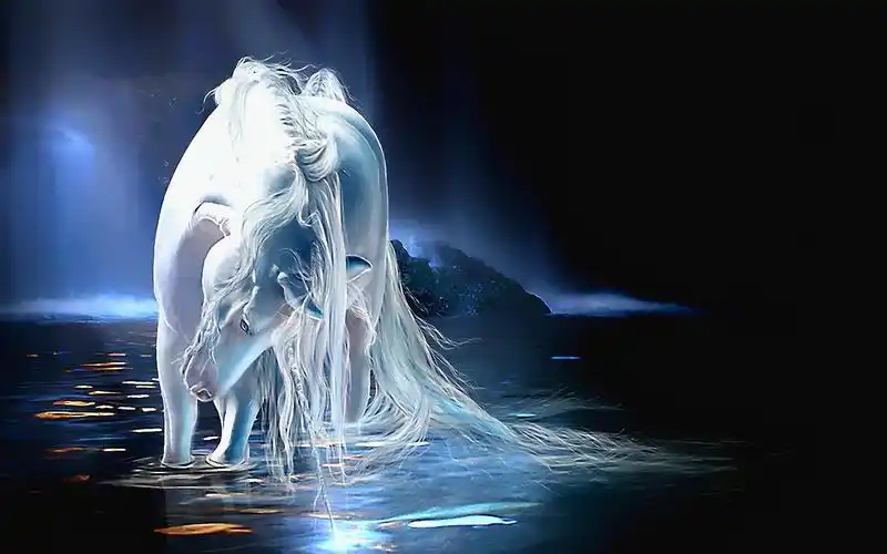 转帖寻找下一个超级独角兽展望未来10年的新兴市场和技术趋势