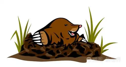 从地洞里钻出来的鼹鼠