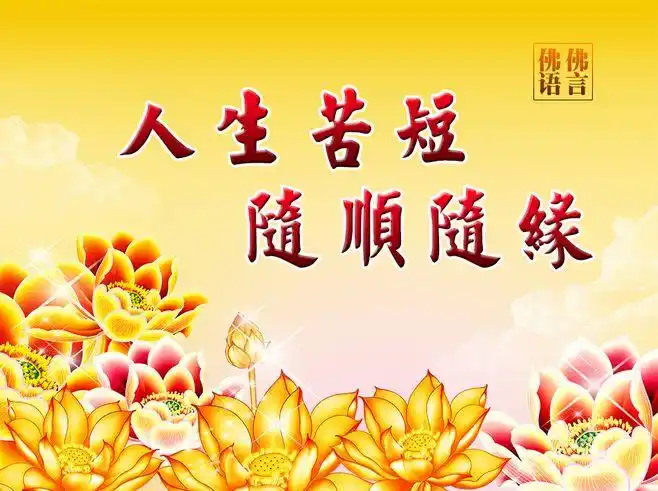 人生苦短,随顺随缘