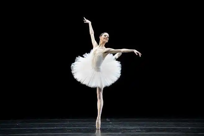 有谁知道关于 芭蕾舞动作的专业名称?