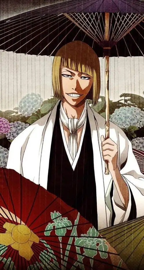 最大的遗憾就是没有看到蓝染惣右介的卍解了,蓝染确实是有够强大,被誉